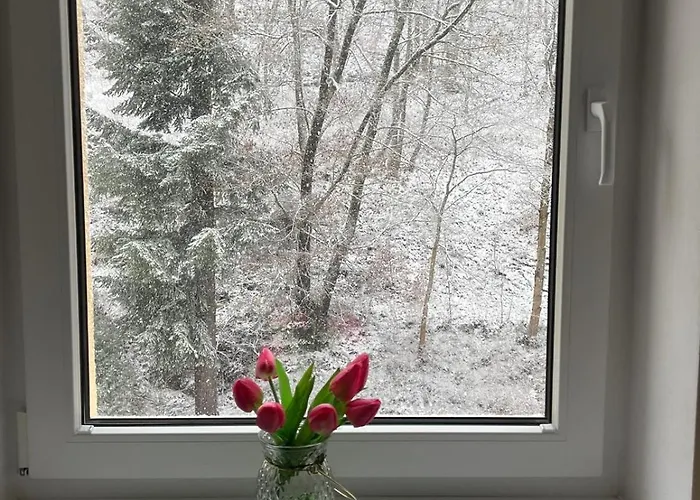 Claudia - Rezidence K Lanovce * Jáchymov